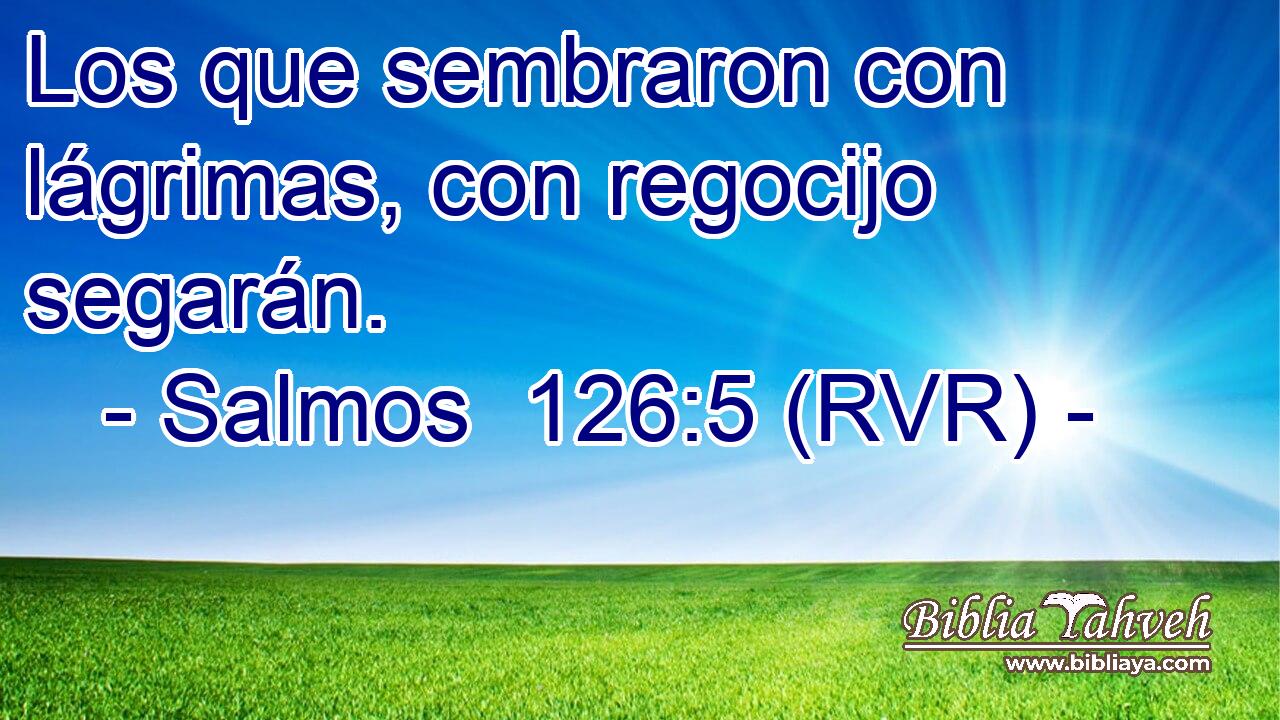 Los que sembraron con lágrimas, con regocijo segarán.