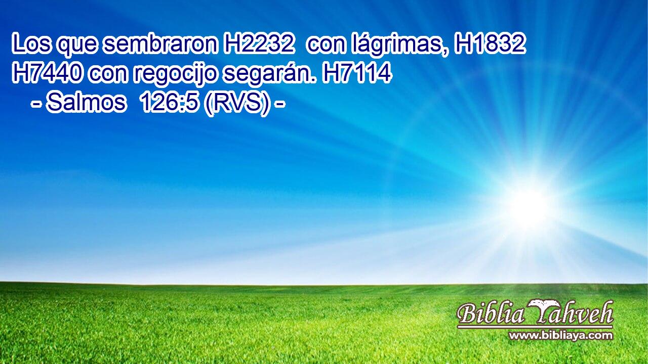 Los que sembraron H2232  con lágrimas, H1832  H7440 con regocijo segarán. H7114  