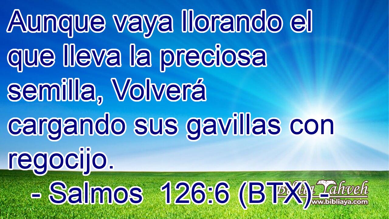 Aunque vaya llorando el que lleva la preciosa semilla, Volverá cargando sus gavillas con regocijo.