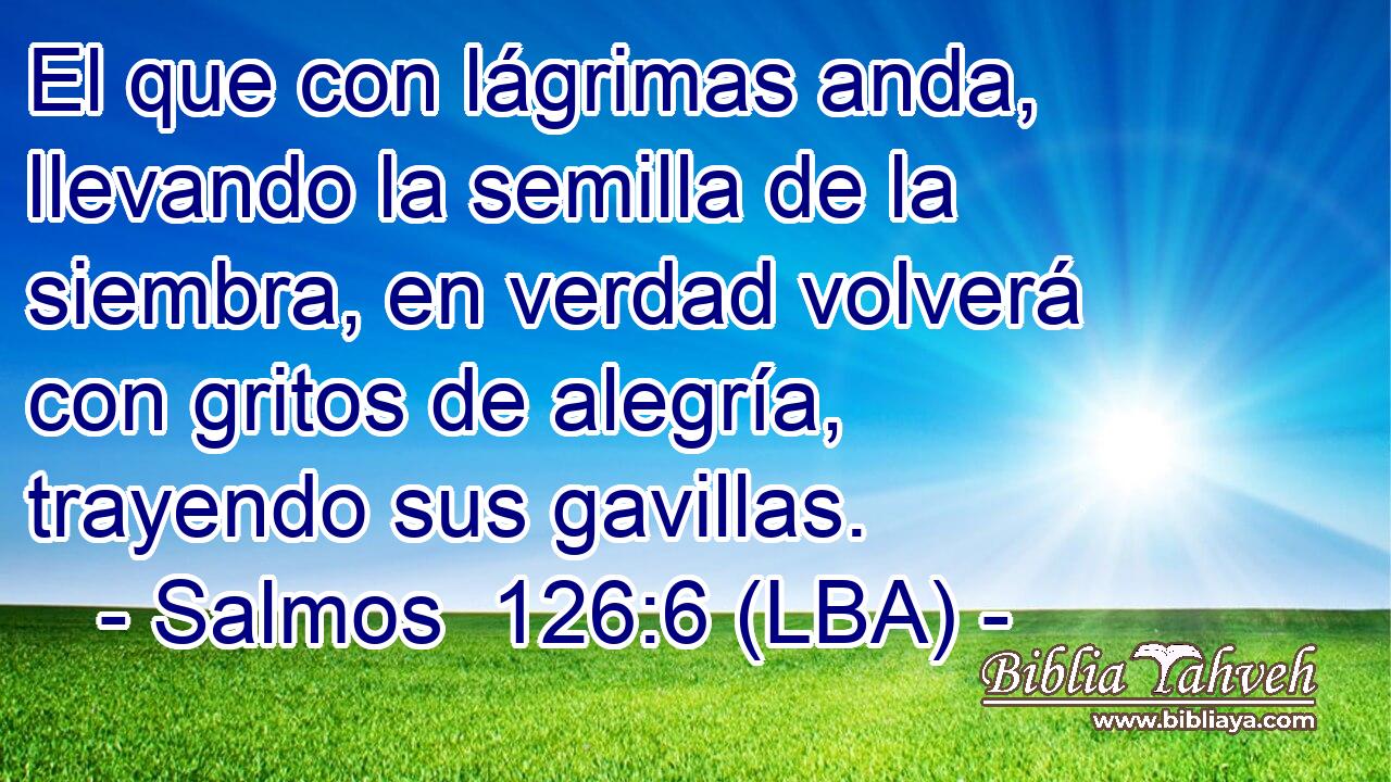 El que con lágrimas anda, llevando la semilla de la siembra, en verdad volverá con gritos de alegría, trayendo sus gavillas.
