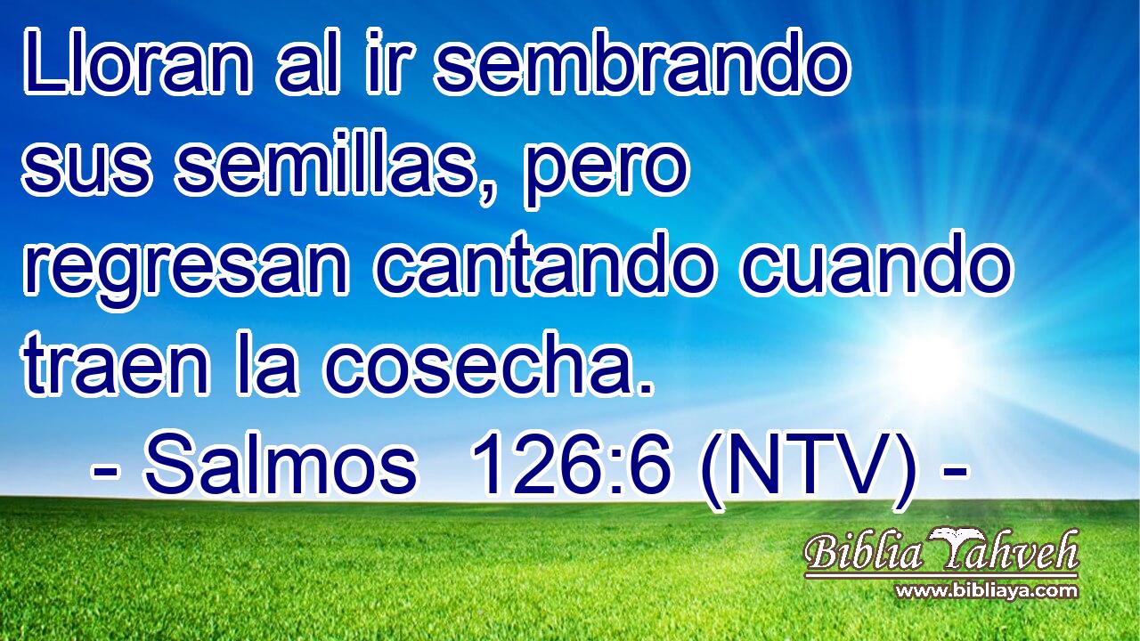 Lloran al ir sembrando sus semillas, pero regresan cantando cuando traen la cosecha.
