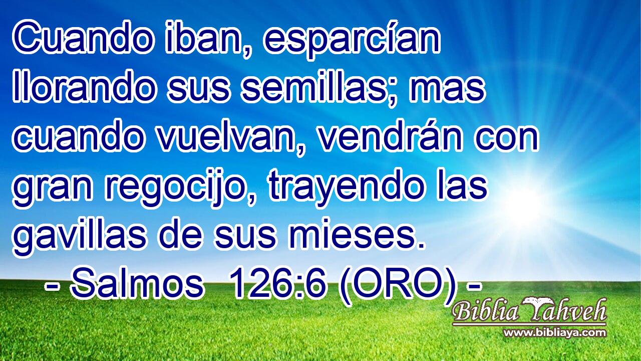  Cuando iban, esparcían llorando sus semillas; mas cuando vuelvan, vendrán con gran regocijo, trayendo las gavillas de sus mieses. 