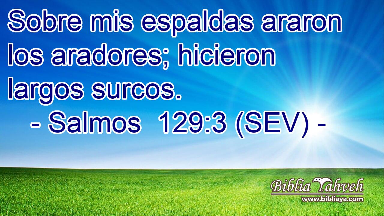 Sobre mis espaldas araron los aradores; hicieron largos surcos.