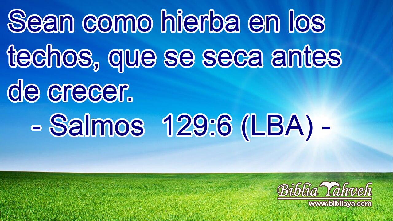 Sean como hierba en los techos, que se seca antes de crecer.
