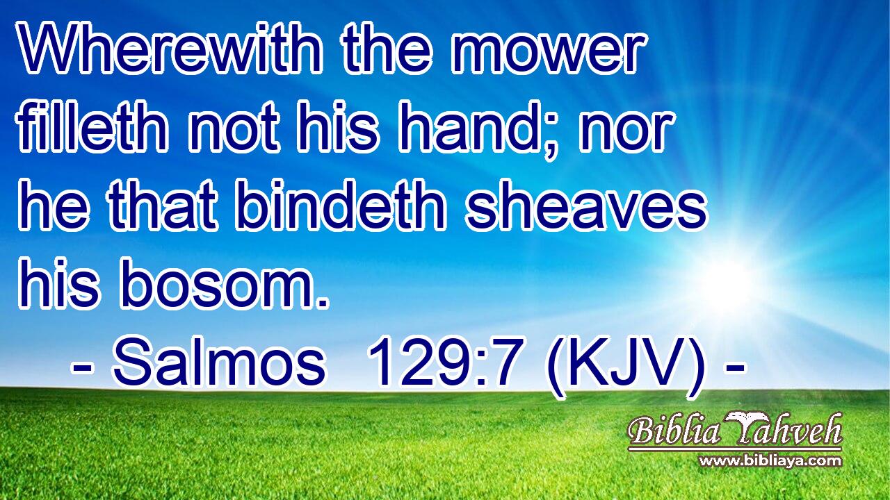 Wherewith the mower filleth not his hand; nor he that bindeth sheaves his bosom.
