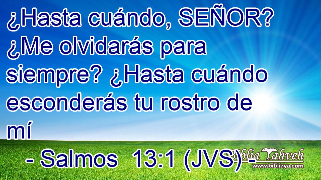 ¿Hasta cuándo, SEÑOR? ¿Me olvidarás para siempre? ¿Hasta cuándo esconderás tu rostro de mí
