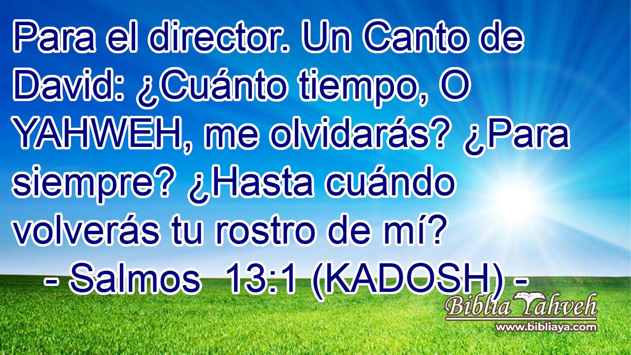  Para el director. Un Canto de David: ¿Cuánto tiempo, O YAHWEH, me olvidarás? ¿Para siempre? ¿Hasta cuándo volverás tu rostro de mí? 
