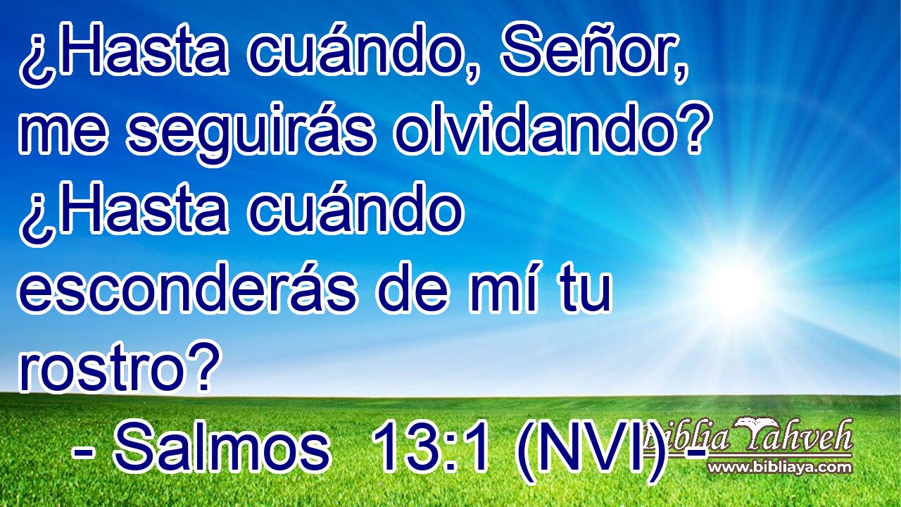  ¿Hasta cuándo, Señor, me seguirás olvidando? ¿Hasta cuándo esconderás de mí tu rostro? 