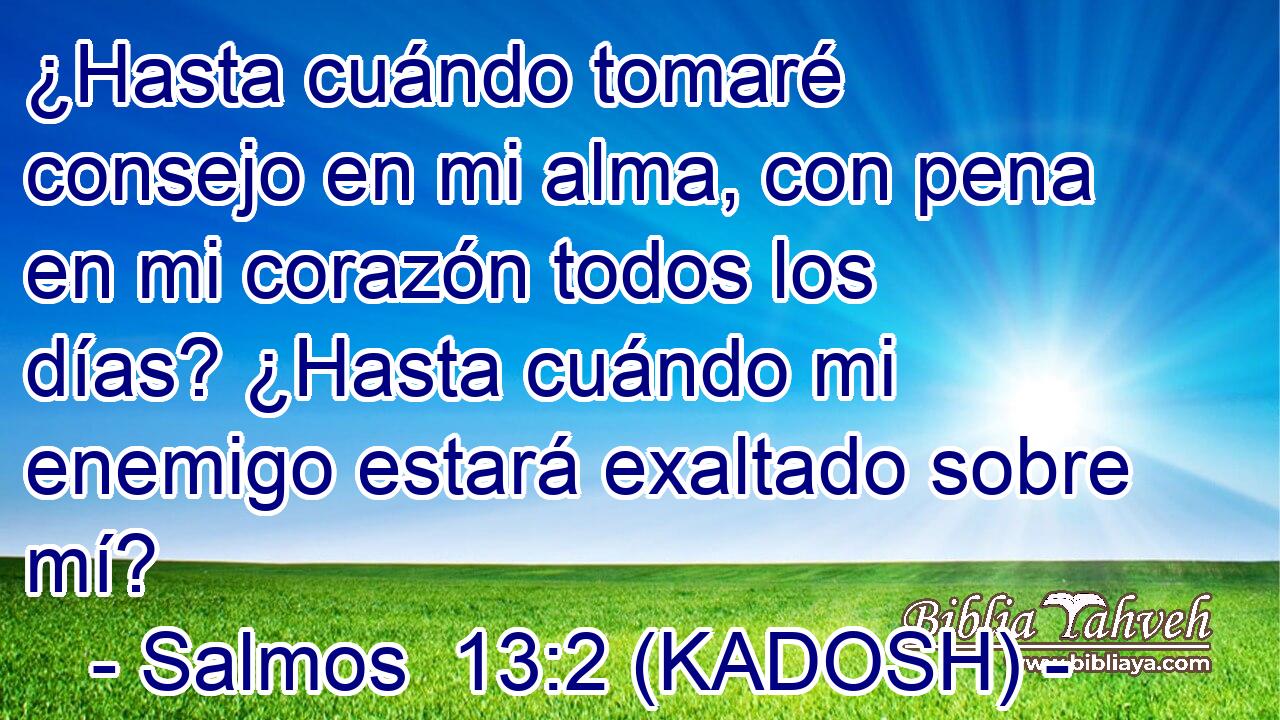  ¿Hasta cuándo tomaré consejo en mi alma, con pena en mi corazón todos los días? ¿Hasta cuándo mi enemigo estará exaltado sobre mí? 