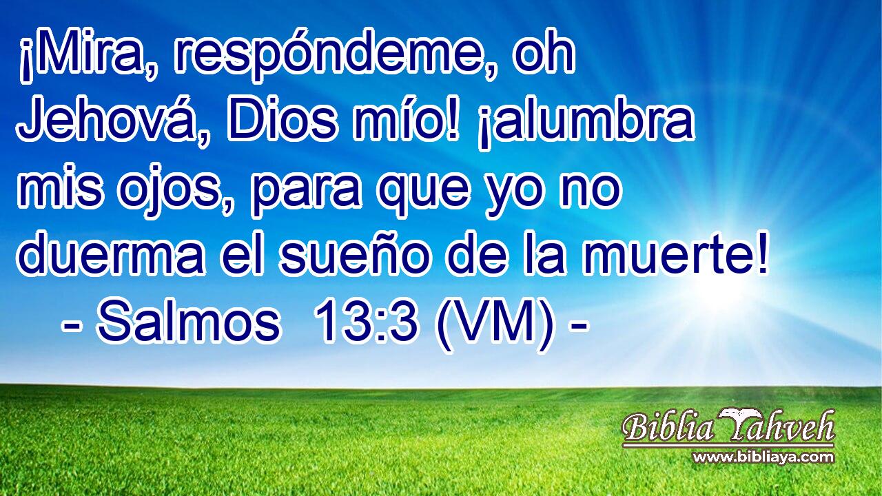  ¡Mira, respóndeme, oh Jehová, Dios mío! ¡alumbra mis ojos, para que yo no duerma el sueño de la muerte! 