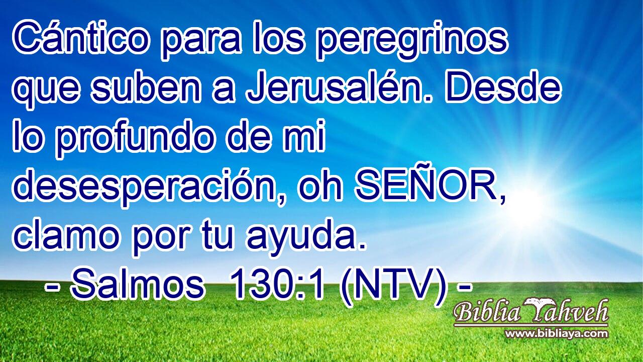 Cántico para los peregrinos que suben a Jerusalén. Desde lo profundo de mi desesperación, oh SEÑOR, clamo por tu ayuda.