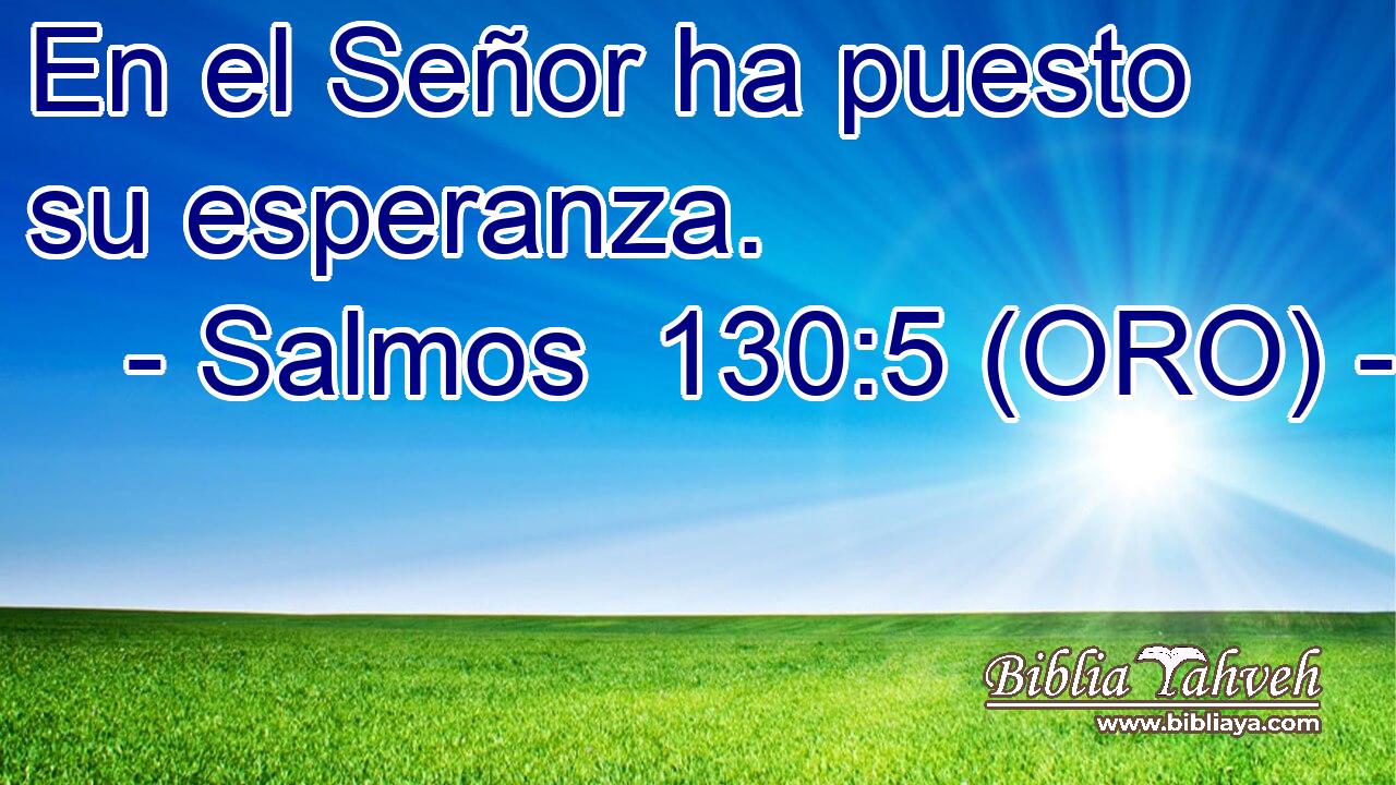  En el Señor ha puesto su esperanza. 