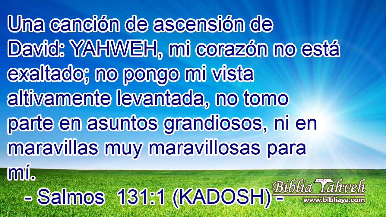  Una canción de ascensión de David: YAHWEH, mi corazón no está exaltado; no pongo mi vista altivamente levantada, no tomo parte en asuntos grandiosos, ni en maravillas muy maravillosas para mí. 