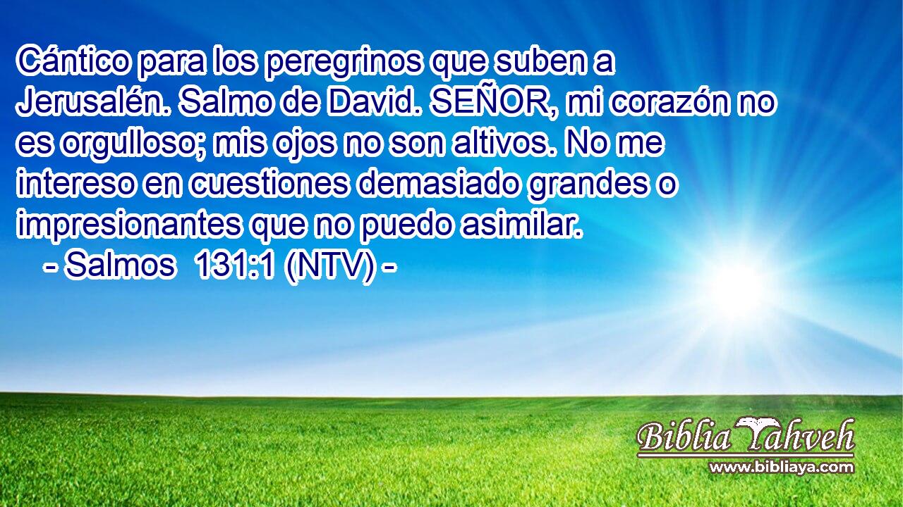 Cántico para los peregrinos que suben a Jerusalén. Salmo de David. SEÑOR, mi corazón no es orgulloso; mis ojos no son altivos. No me intereso en cuestiones demasiado grandes o impresionantes que no puedo asimilar.