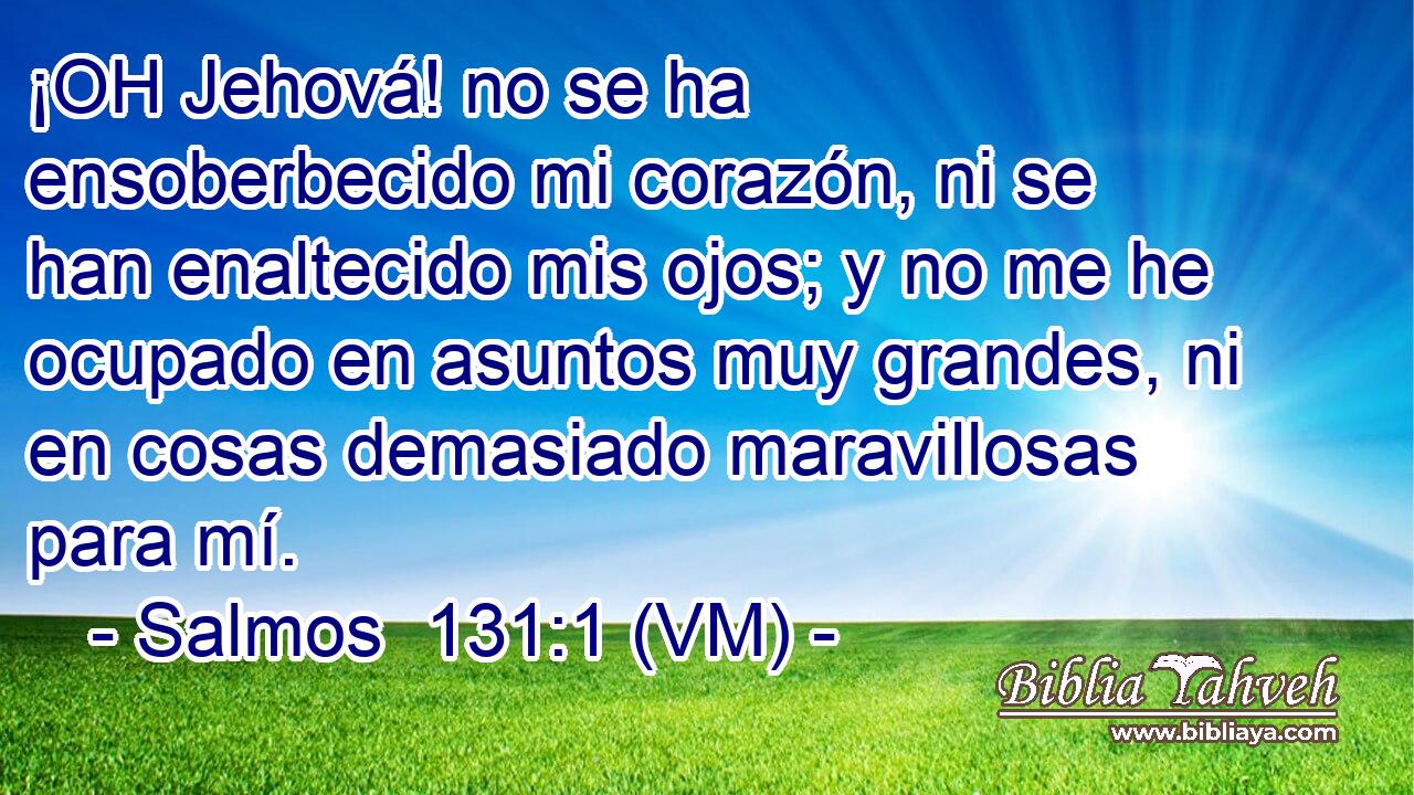  ¡OH Jehová! no se ha ensoberbecido mi corazón, ni se han enaltecido mis ojos; y no me he ocupado en asuntos muy grandes, ni en cosas demasiado maravillosas para mí. 