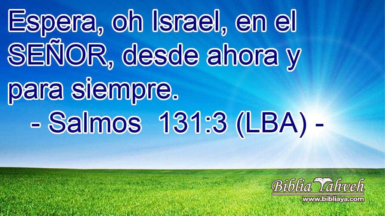 Espera, oh Israel, en el SEÑOR, desde ahora y para siempre.