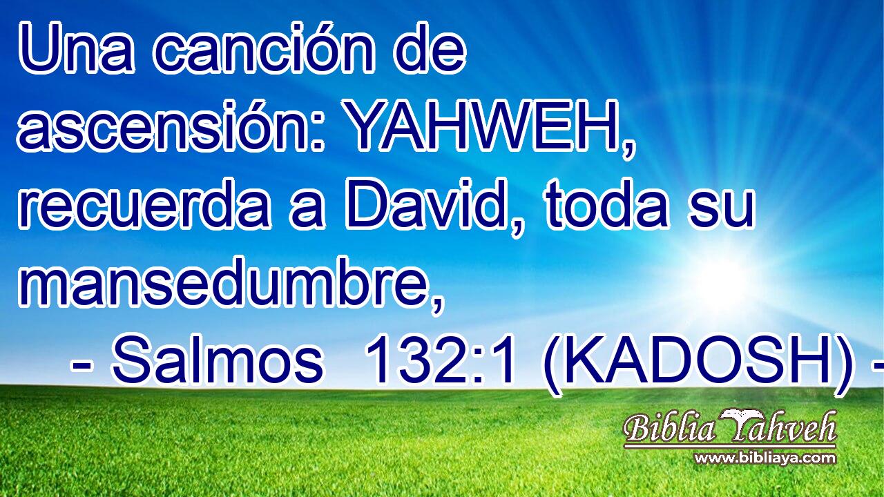 Una canción de ascensión: YAHWEH, recuerda a David, toda su mansedumbre, 