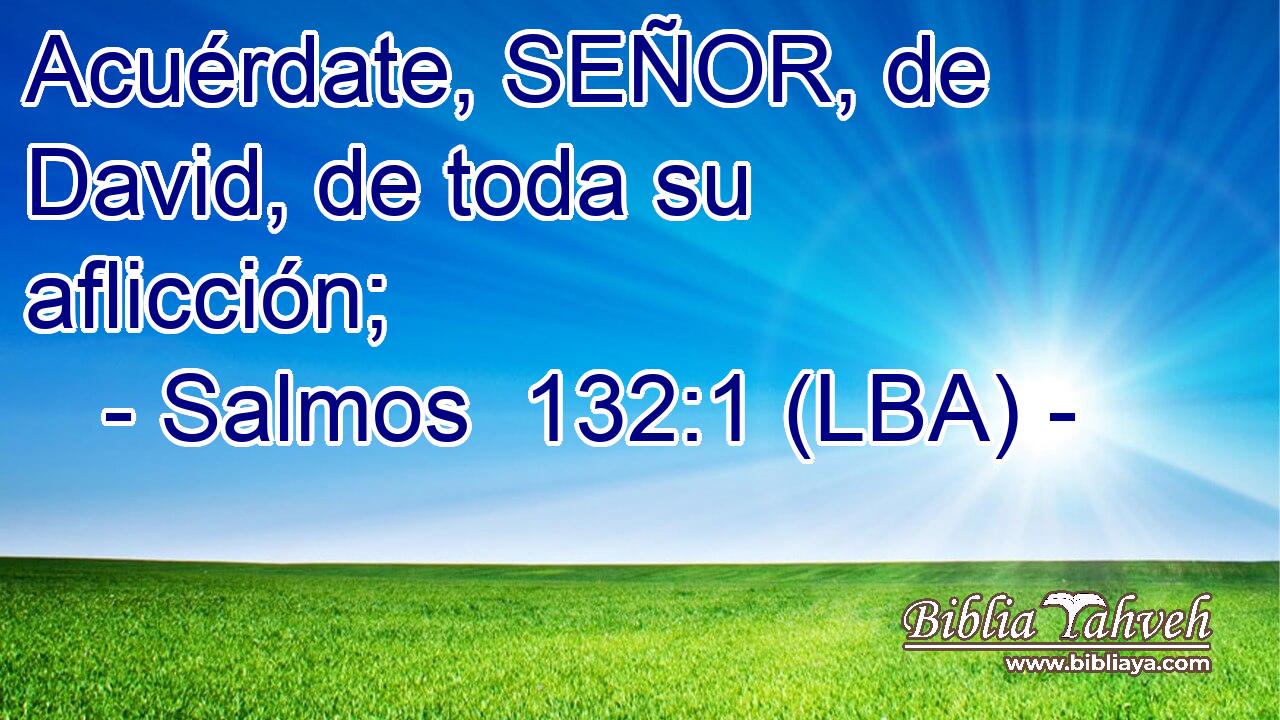 Acuérdate, SEÑOR, de David, de toda su aflicción;