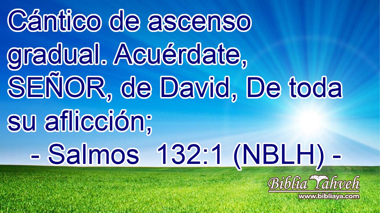  Cántico de ascenso gradual. Acuérdate, SEÑOR, de David, De toda su aflicción; 