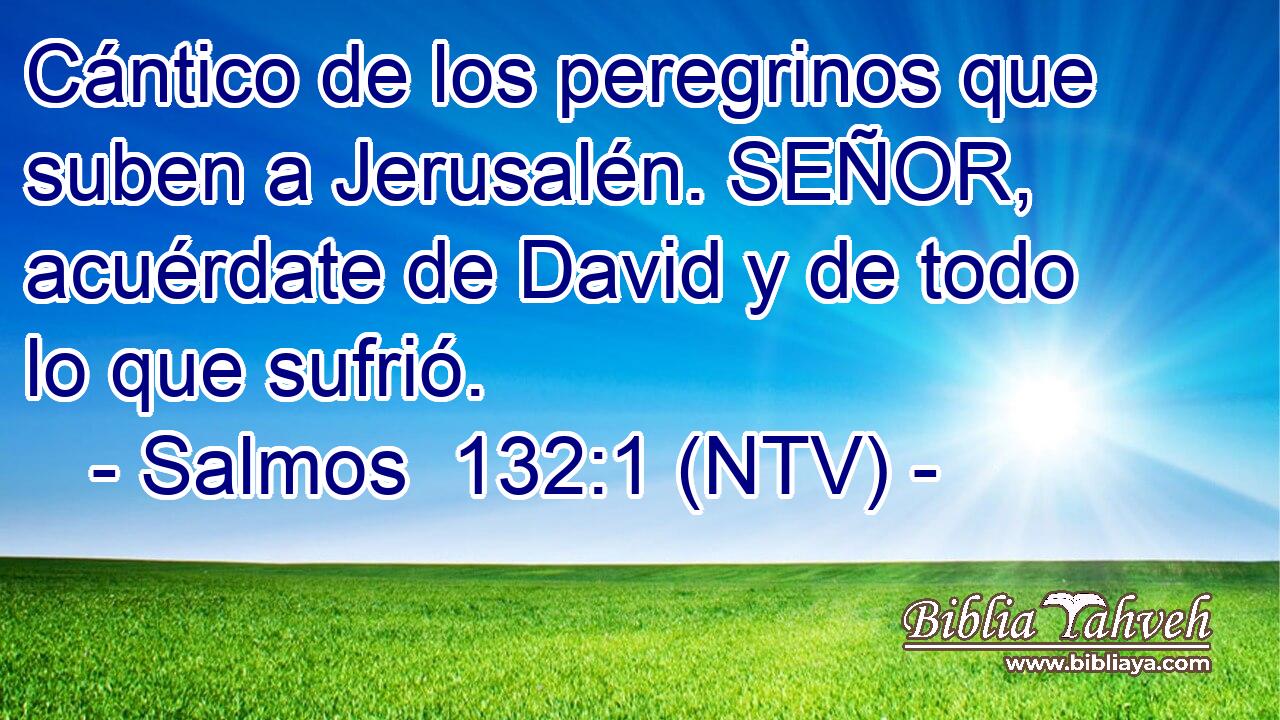 Cántico de los peregrinos que suben a Jerusalén. SEÑOR, acuérdate de David y de todo lo que sufrió.