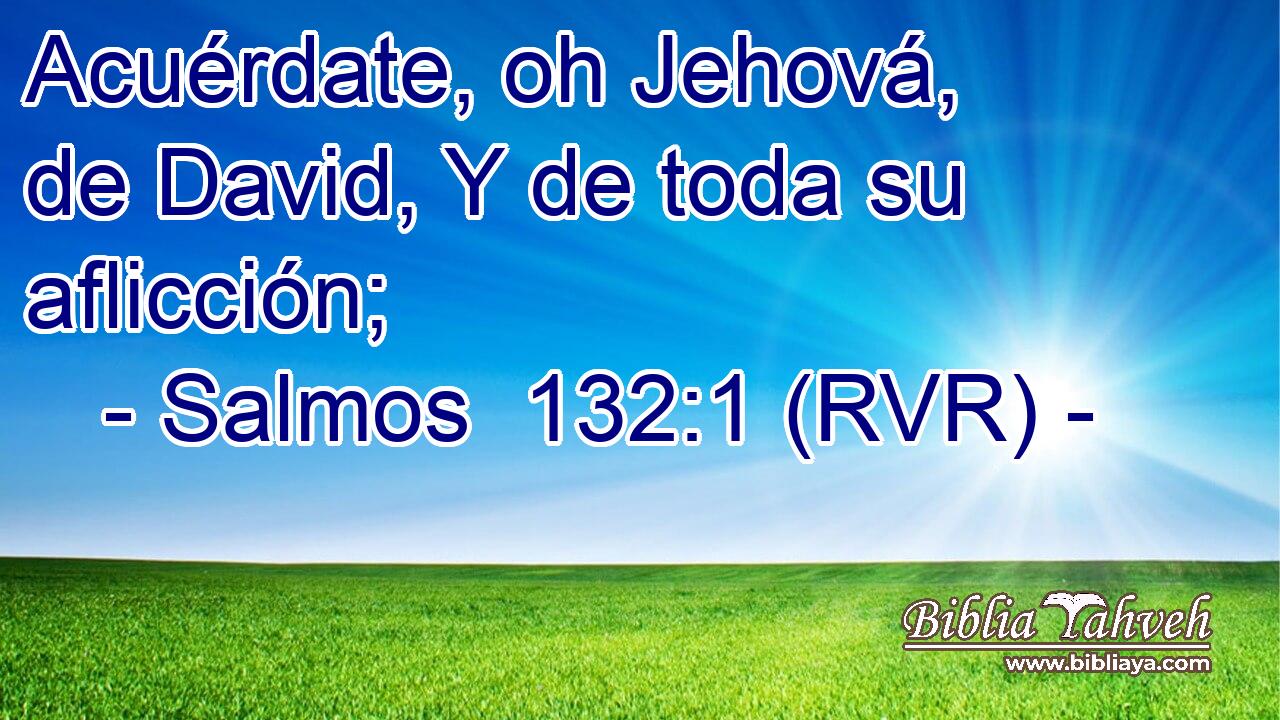 Acuérdate, oh Jehová, de David, Y de toda su aflicción;