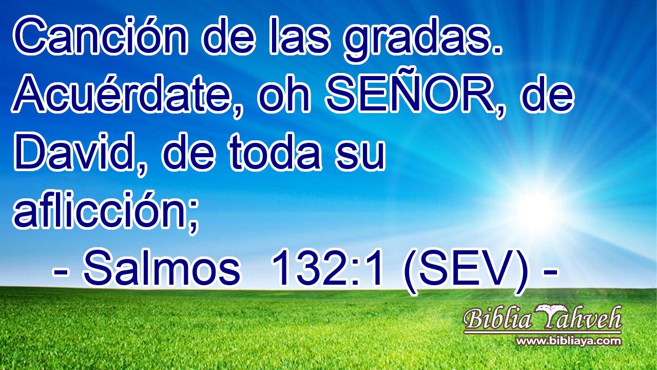 Canción de las gradas. Acuérdate, oh SEÑOR, de David, de toda su aflicción;
