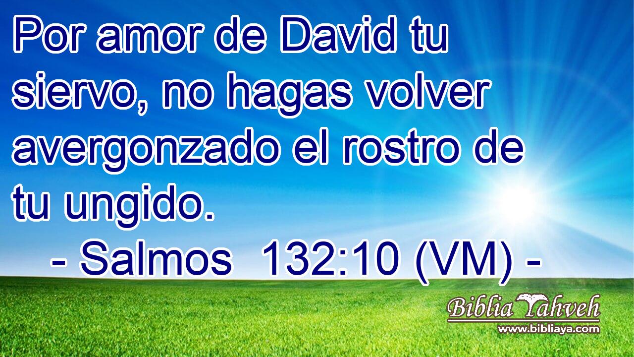  Por amor de David tu siervo, no hagas volver avergonzado el rostro de tu ungido. 