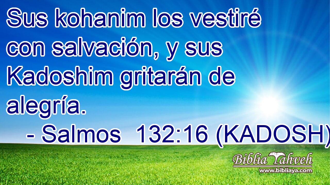  Sus kohanim los vestiré con salvación, y sus Kadoshim gritarán de alegría. 