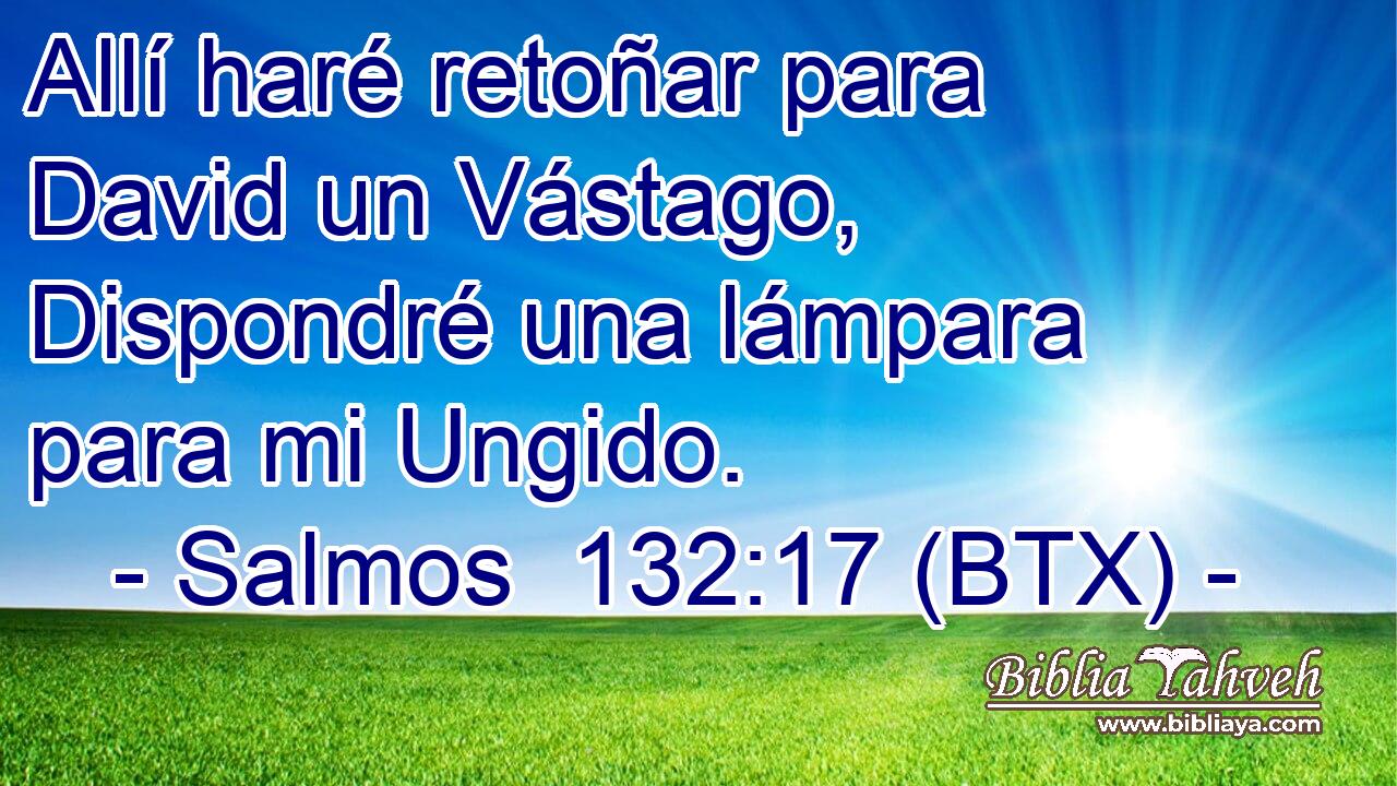 Allí haré retoñar para David un Vástago, Dispondré una lámpara para mi Ungido.