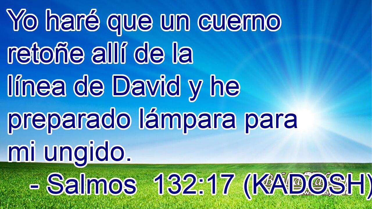  Yo haré que un cuerno retoñe allí de la línea de David y he preparado lámpara para mi ungido. 