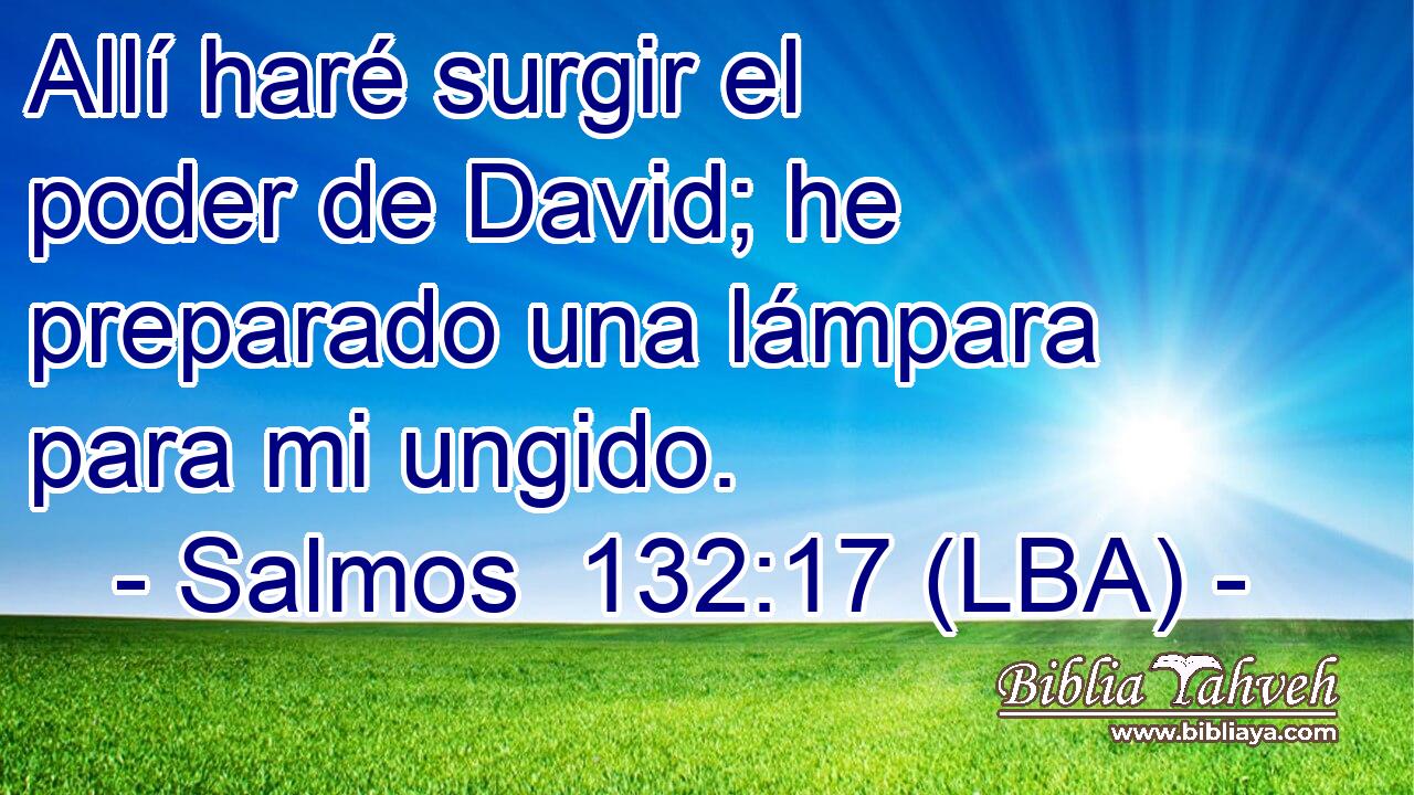 Allí haré surgir el poder de David; he preparado una lámpara para mi ungido.