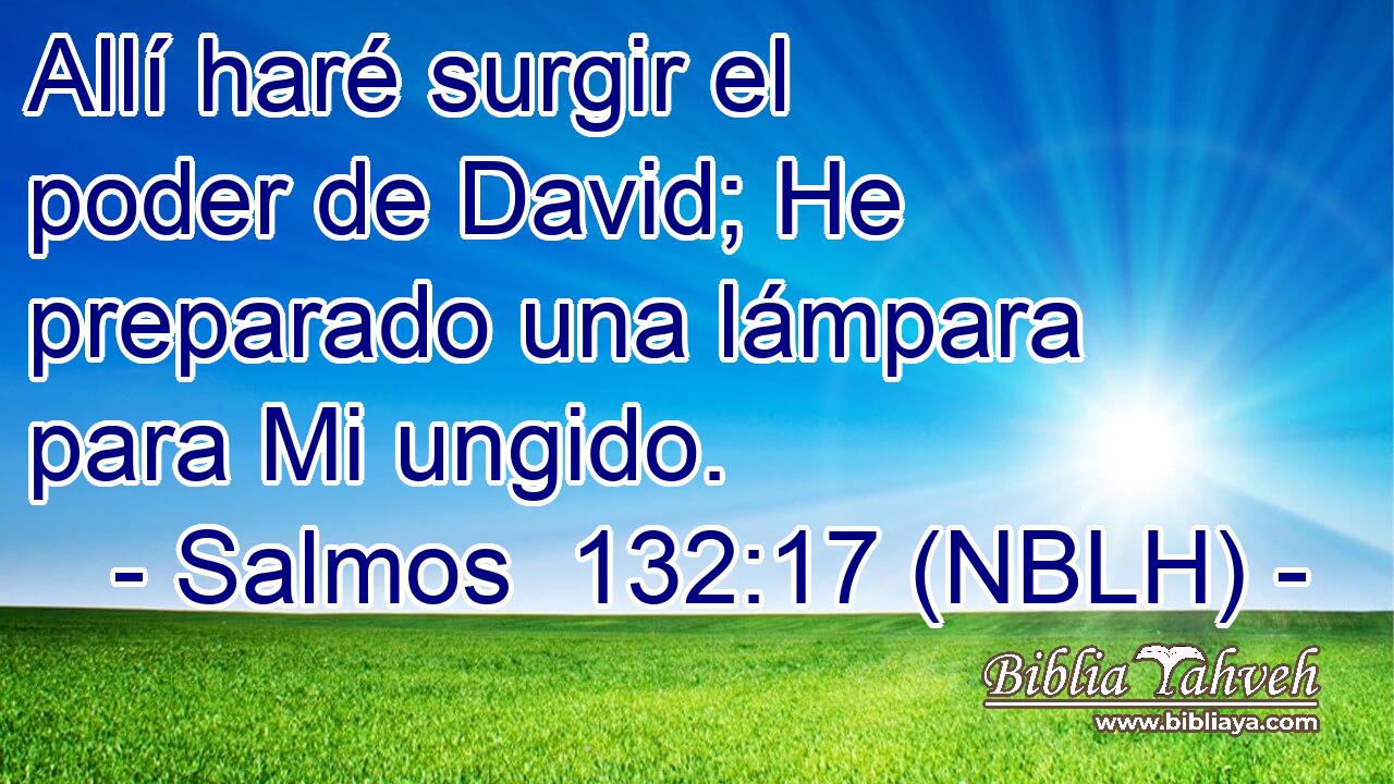  Allí haré surgir el poder de David; He preparado una lámpara para Mi ungido. 