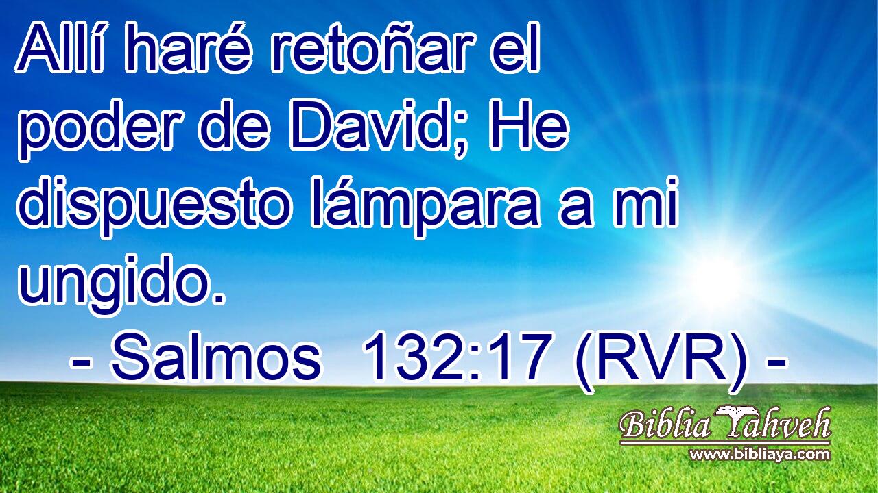 Allí haré retoñar el poder de David; He dispuesto lámpara a mi ungido.