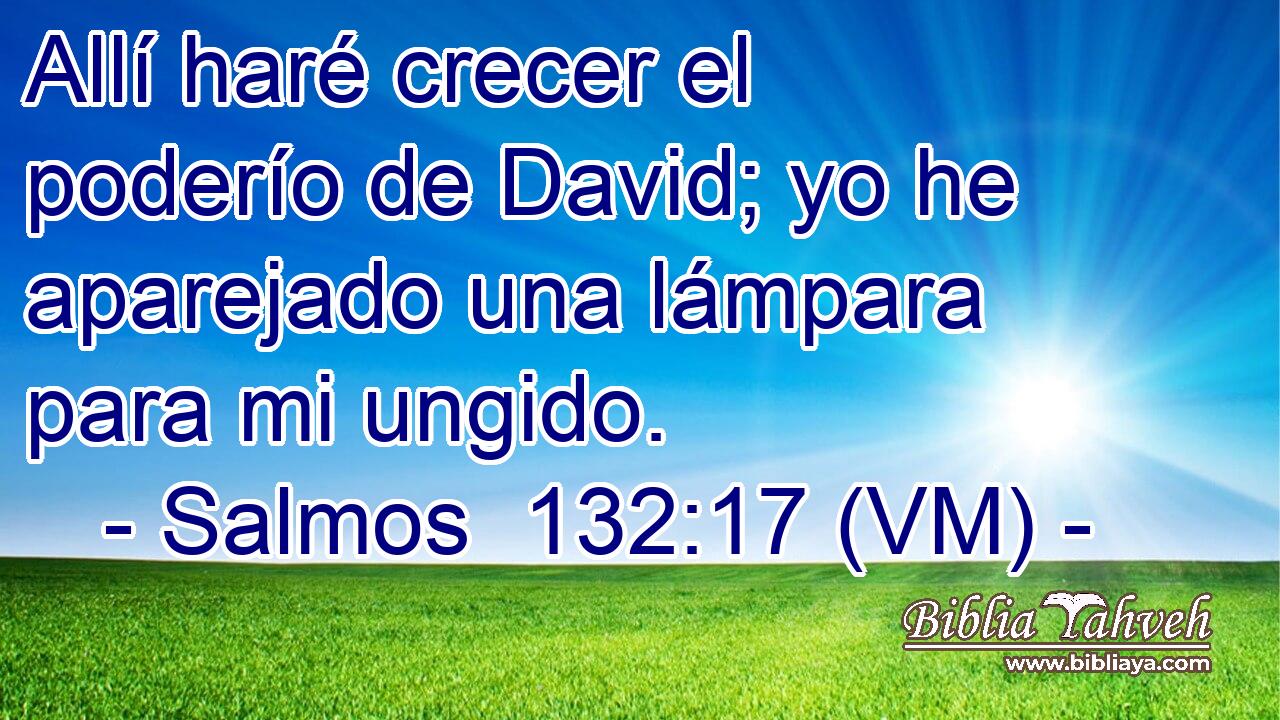  Allí haré crecer el poderío de David; yo he aparejado una lámpara para mi ungido. 