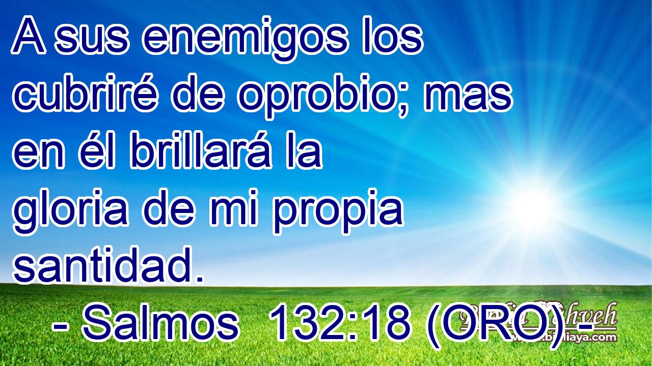  A sus enemigos los cubriré de oprobio; mas en él brillará la gloria de mi propia santidad. 