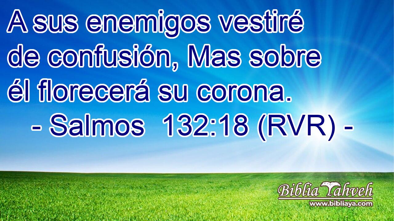 A sus enemigos vestiré de confusión, Mas sobre él florecerá su corona.