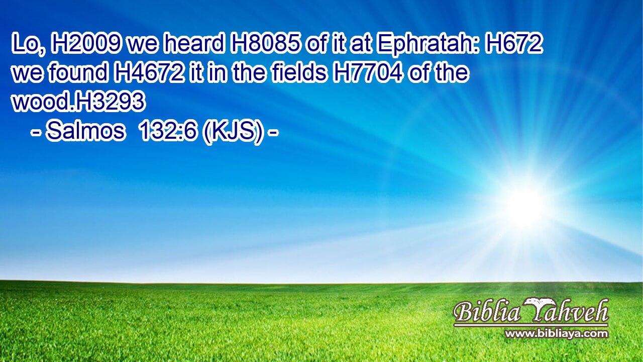 Lo, H2009 we heard H8085 of it at Ephratah: H672 we found H4672 it in the fields H7704 of the wood.H3293