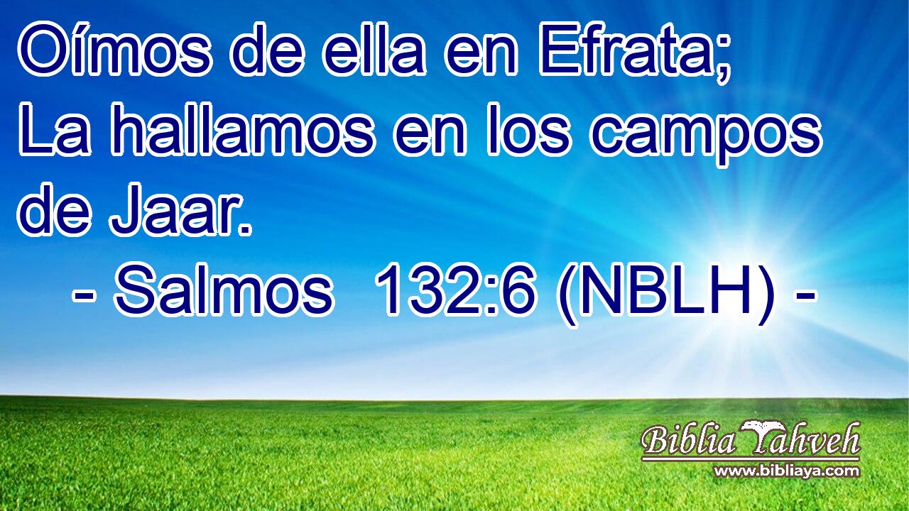  Oímos de ella en Efrata; La hallamos en los campos de Jaar. 