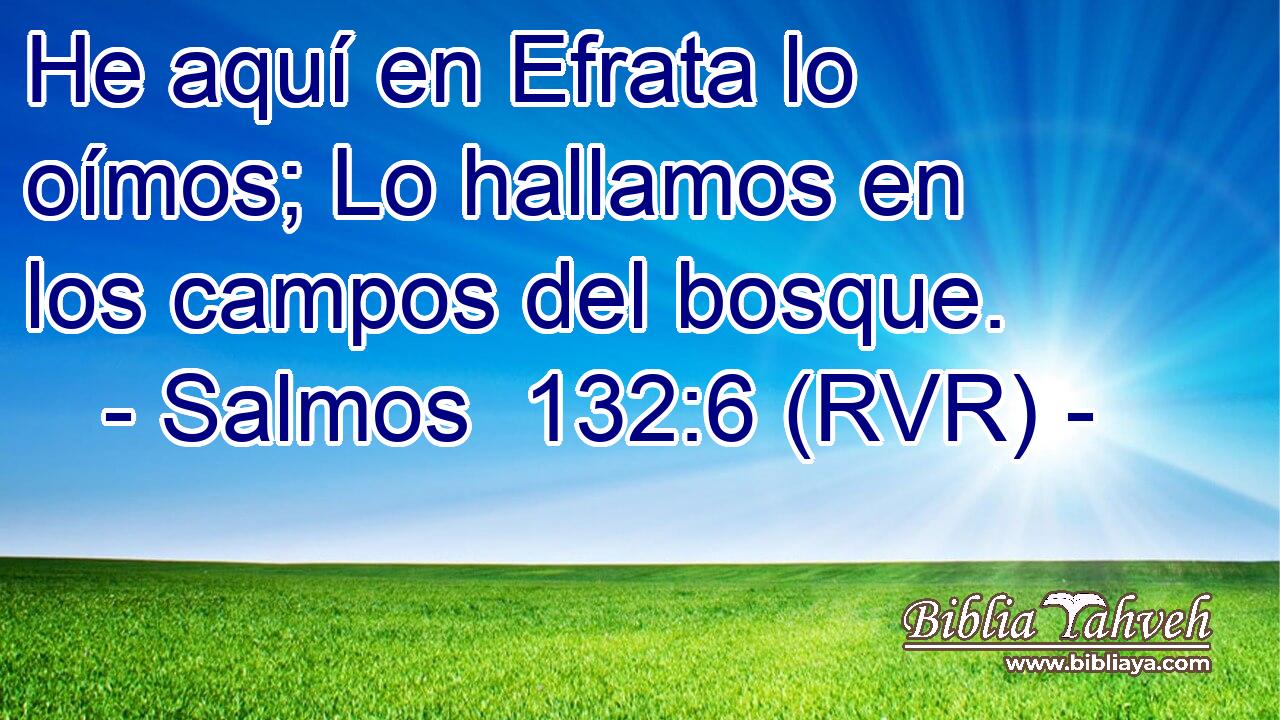 He aquí en Efrata lo oímos; Lo hallamos en los campos del bosque.