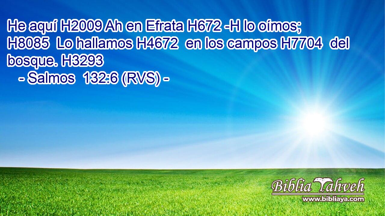 He aquí H2009 Ah en Efrata H672 -H lo oímos; H8085  Lo hallamos H4672  en los campos H7704  del bosque. H3293  