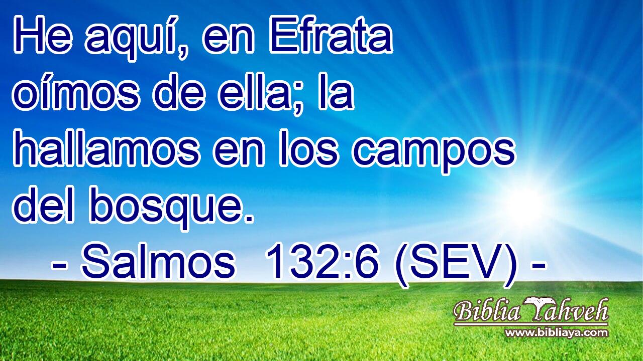 He aquí, en Efrata oímos de ella; la hallamos en los campos del bosque.
