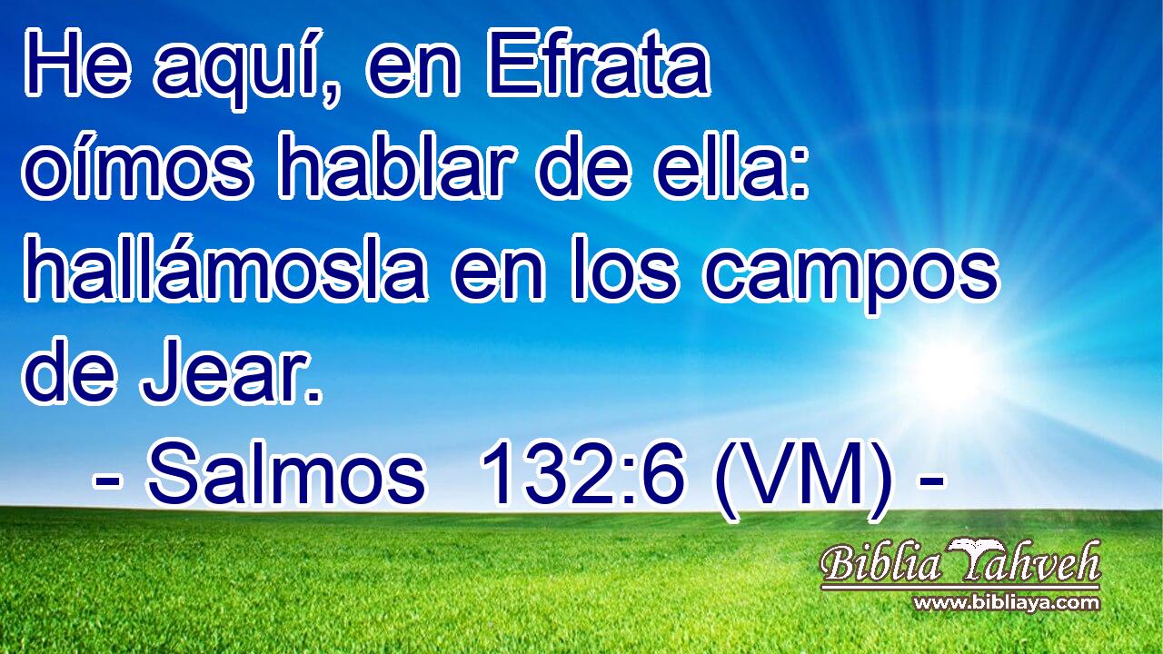 He aquí, en Efrata oímos hablar de ella: hallámosla en los campos de Jear. 