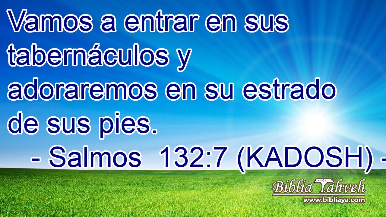  Vamos a entrar en sus tabernáculos y adoraremos en su estrado de sus pies. 