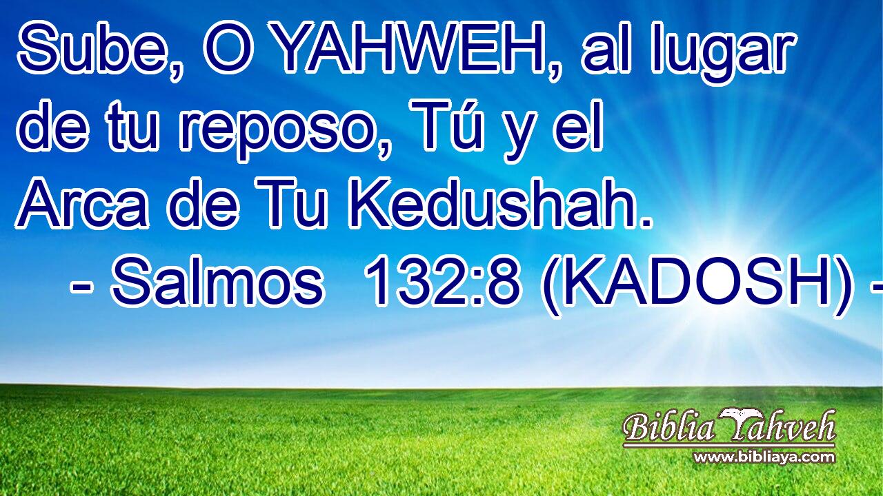  Sube, O YAHWEH, al lugar de tu reposo, Tú y el Arca de Tu Kedushah. 