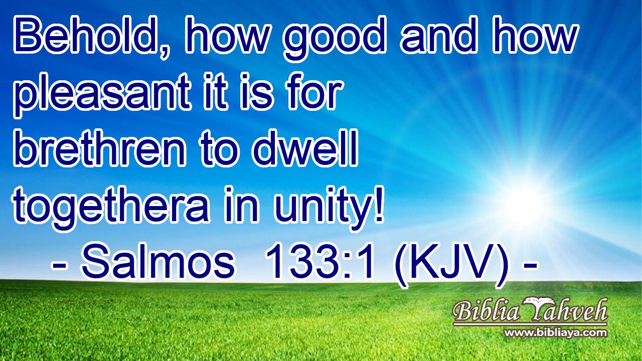 Behold, how good and how pleasant it is for brethren to dwell togethera in unity!