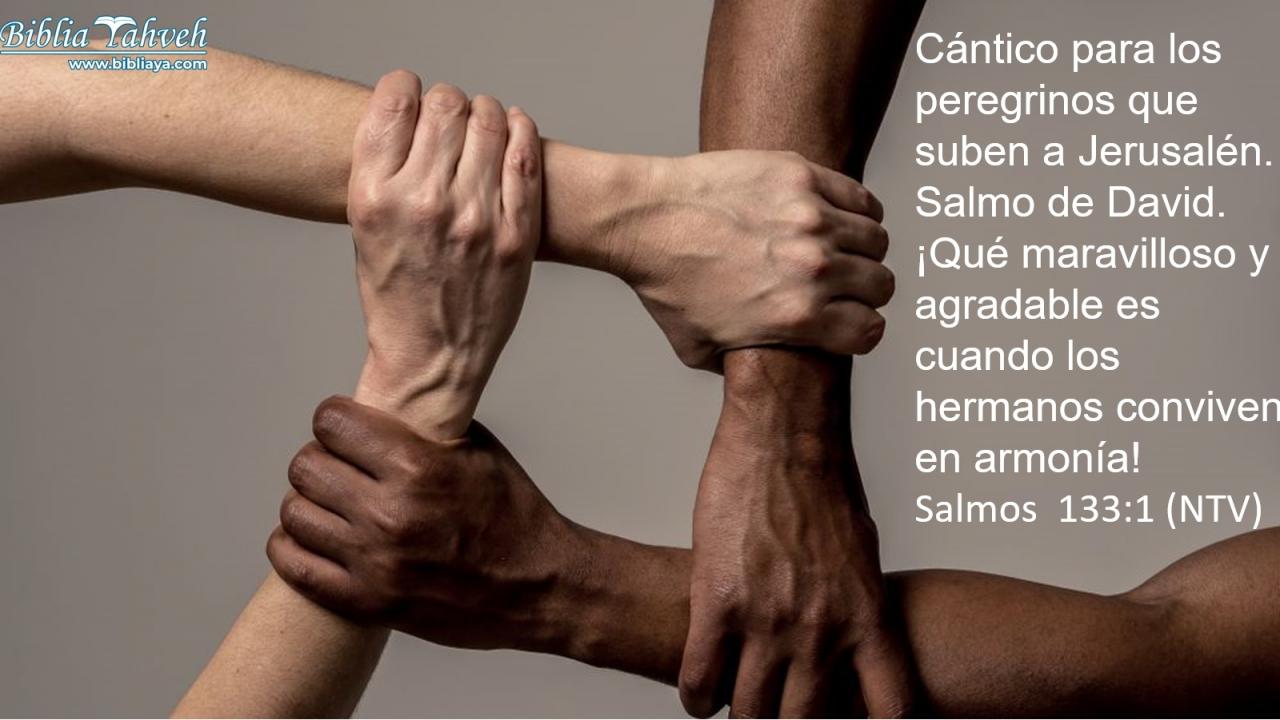 ¡Qué maravilloso y agradable es cuando los hermanos conviven en armonía!