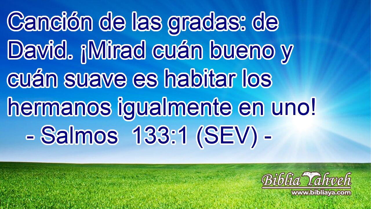 Canción de las gradas: de David. ¡Mirad cuán bueno y cuán suave es habitar los hermanos igualmente en uno!