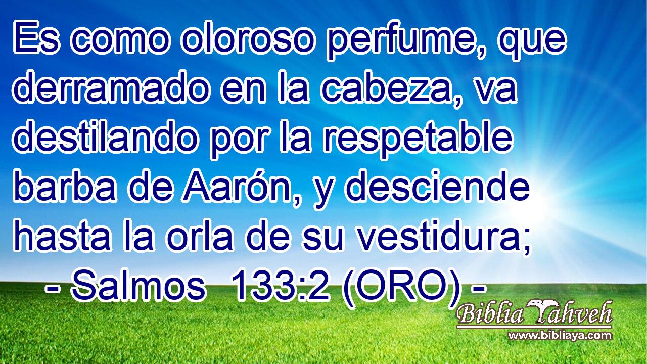  Es como oloroso perfume, que derramado en la cabeza, va destilando por la respetable barba de Aarón, y desciende hasta la orla de su vestidura; 