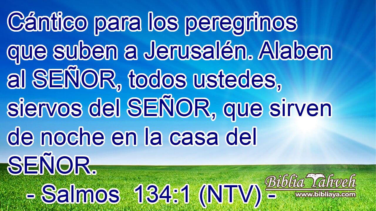 Cántico para los peregrinos que suben a Jerusalén. Alaben al SEÑOR, todos ustedes, siervos del SEÑOR, que sirven de noche en la casa del SEÑOR.