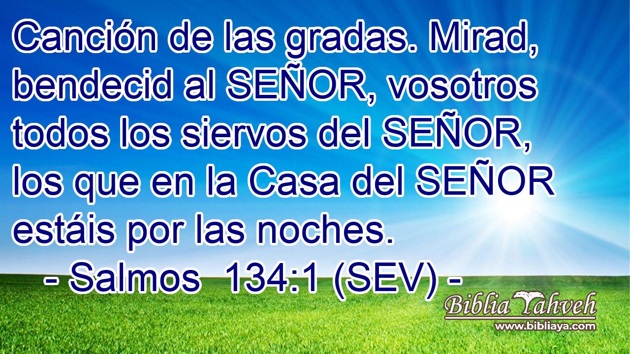 Canción de las gradas. Mirad, bendecid al SEÑOR, vosotros todos los siervos del SEÑOR, los que en la Casa del SEÑOR estáis por las noches.